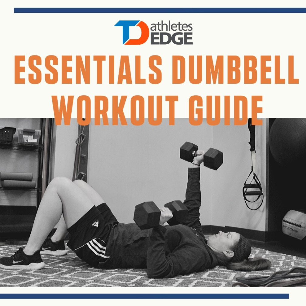 Dumbbell Workout Guide